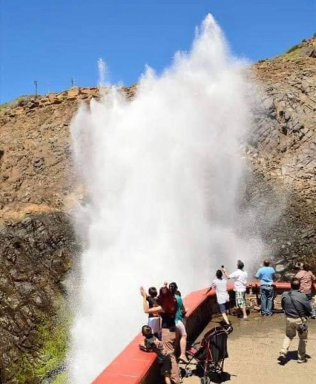 Blowhole BUfadora